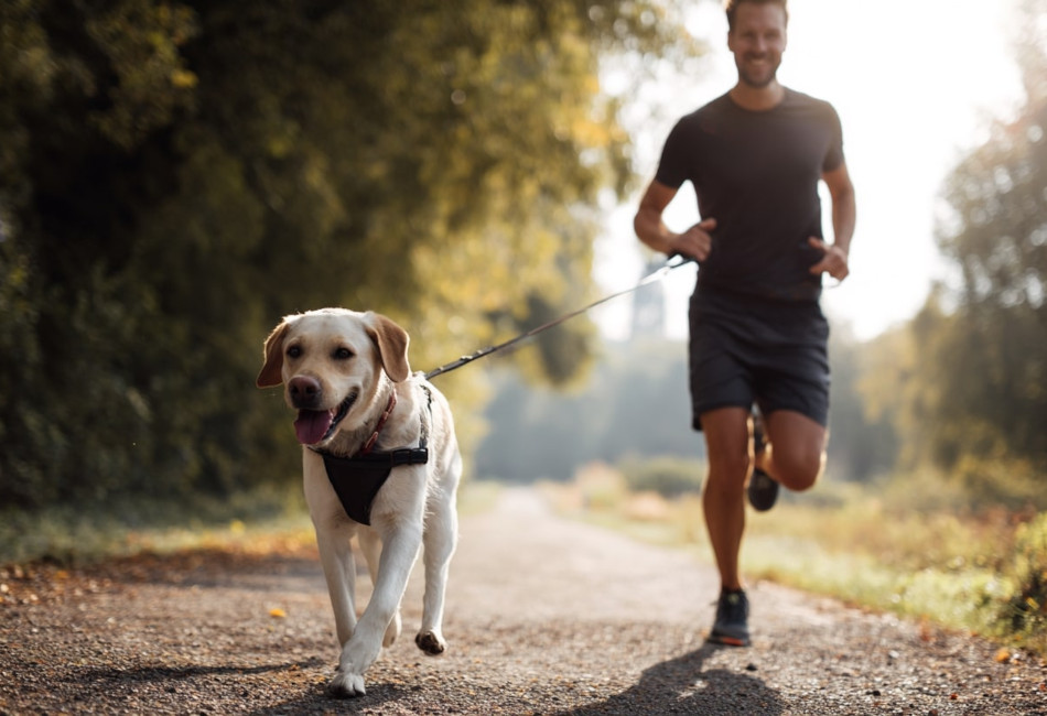 Jak biegać z psem? Idealny pomysł na sportową aktywność z pupilem